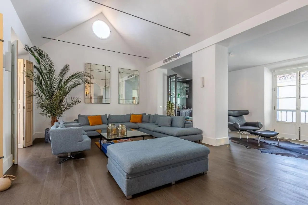 Living4Malaga Aduana Imperial Apartment Spain